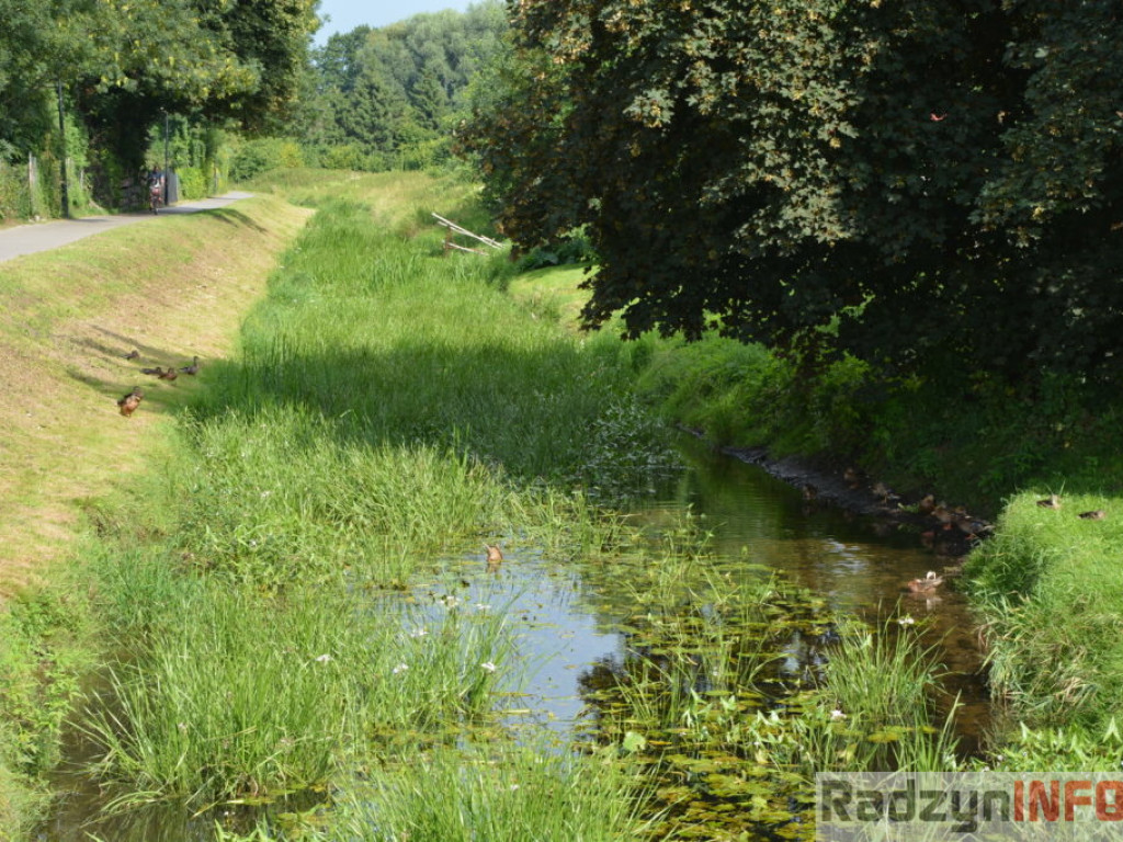 Rzeka Białka zarasta