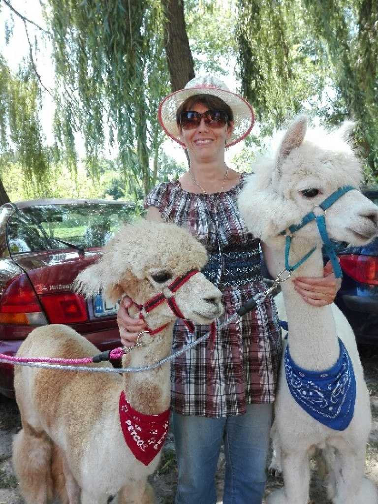 Zawsze razem, czyli piknik integracyjny