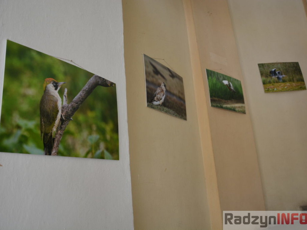 Nasza perła, czyli zwiedzanie Pałacu Potockich