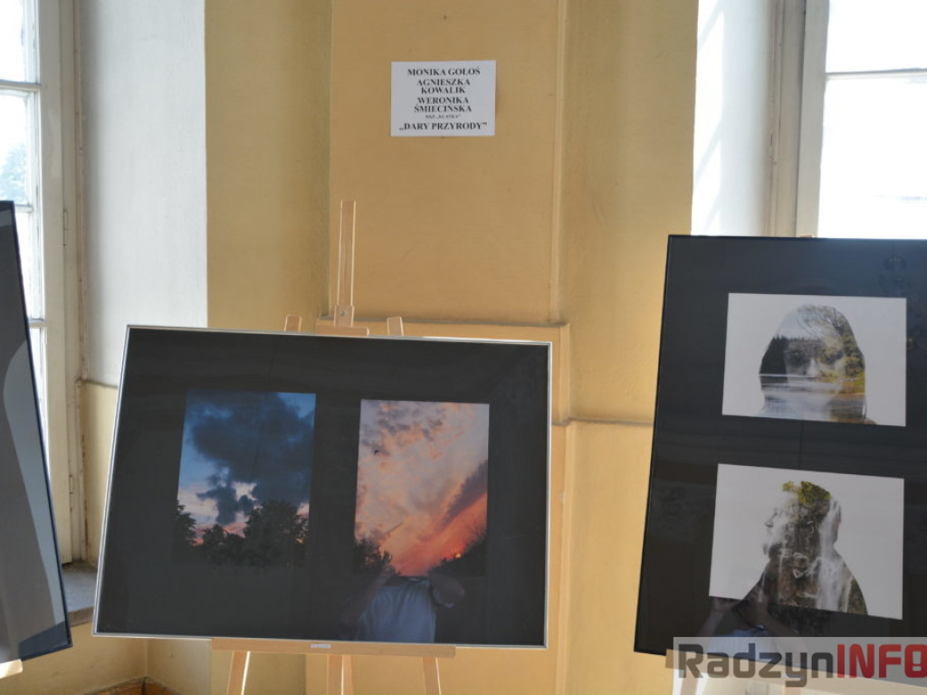 Nasza perła, czyli zwiedzanie Pałacu Potockich