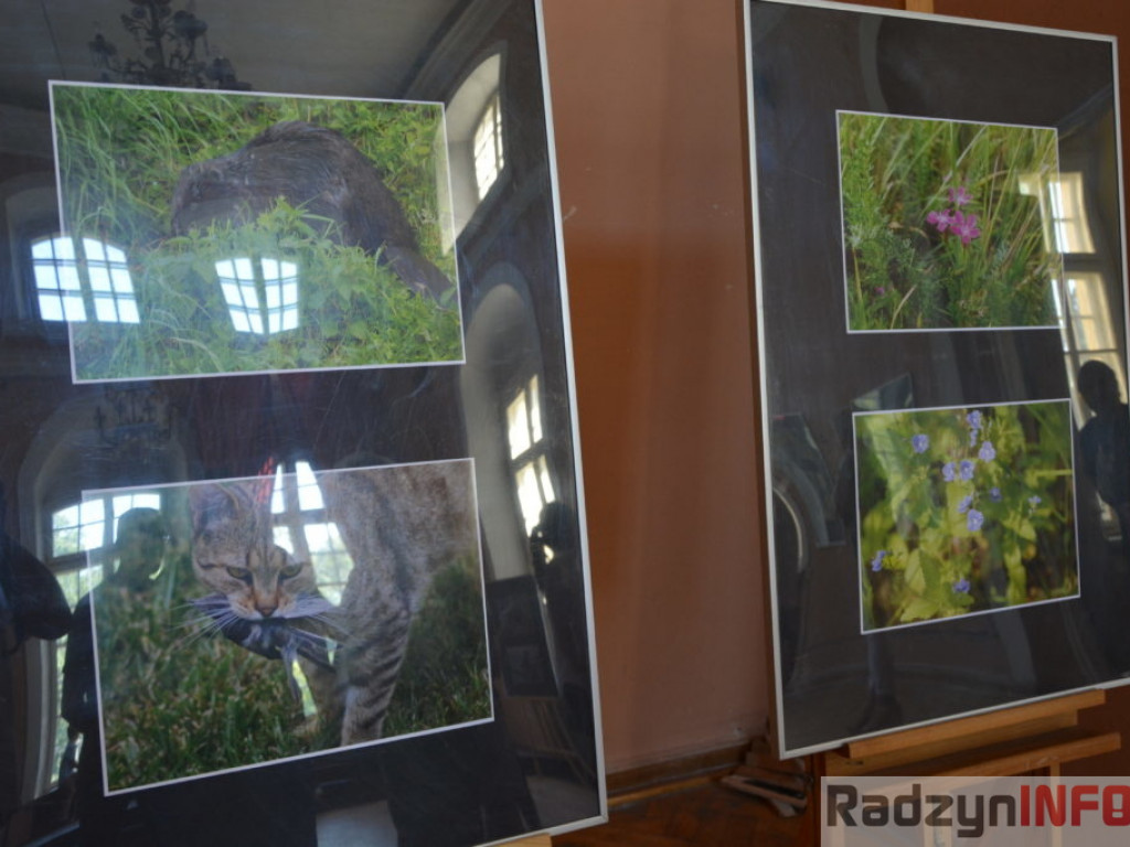 Nasza perła, czyli zwiedzanie Pałacu Potockich