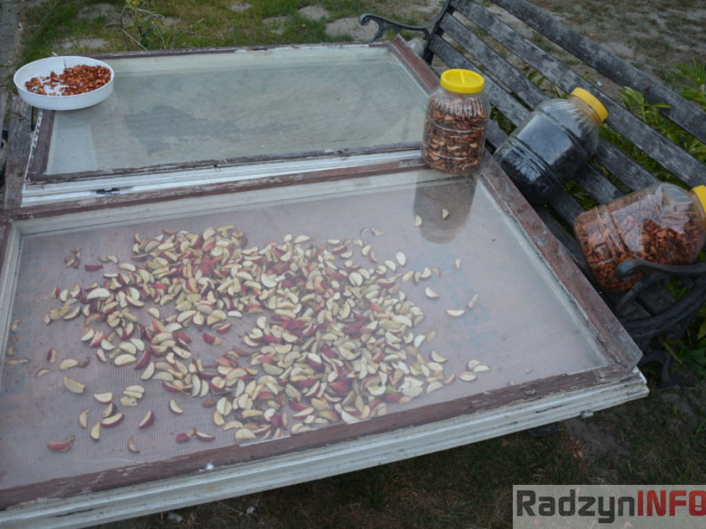 Wszystkie smaki lata, czyli spiżarnia państwa Piasków