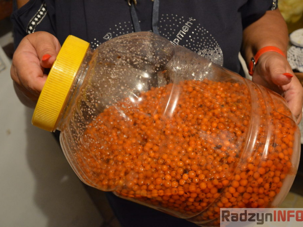 Wszystkie smaki lata, czyli spiżarnia państwa Piasków