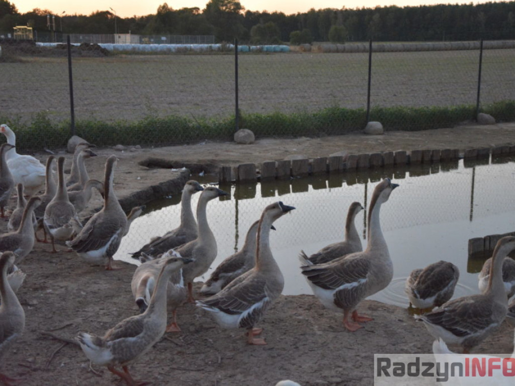 Wszystkie smaki lata, czyli spiżarnia państwa Piasków
