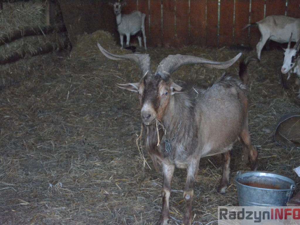 Wszystkie smaki lata, czyli spiżarnia państwa Piasków