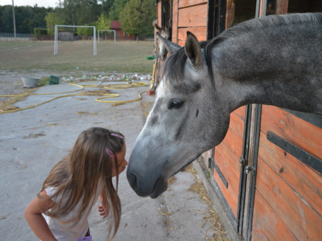 Wszystkie smaki lata, czyli spiżarnia państwa Piasków