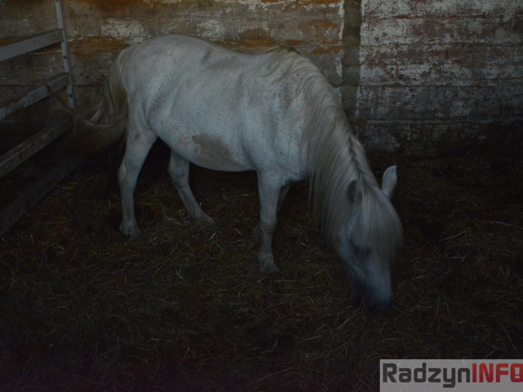 Wszystkie smaki lata, czyli spiżarnia państwa Piasków