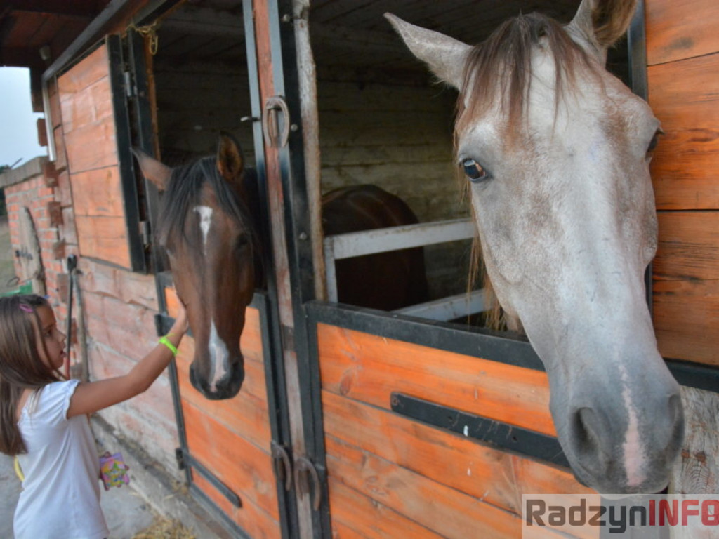 Wszystkie smaki lata, czyli spiżarnia państwa Piasków