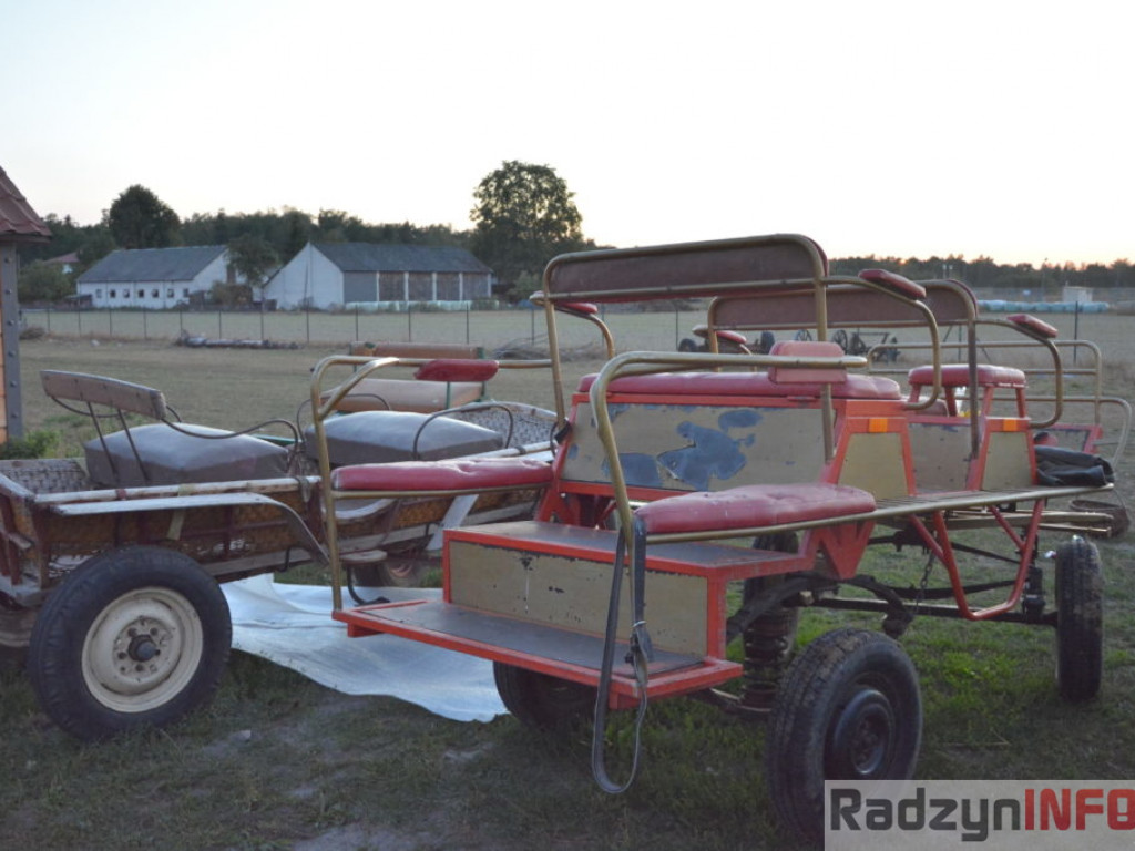 Wszystkie smaki lata, czyli spiżarnia państwa Piasków