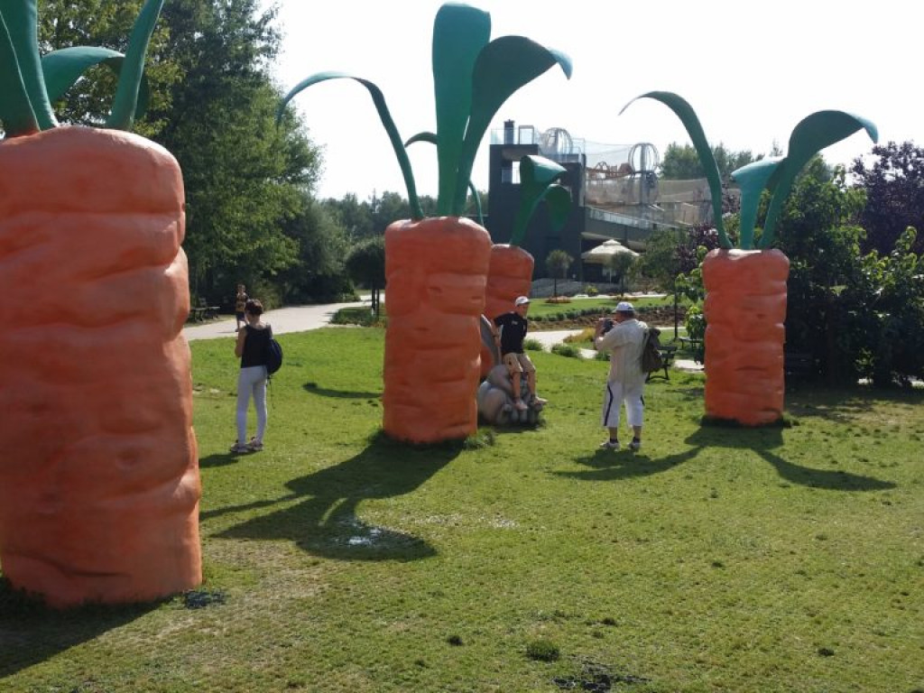 Magiczne Ogrody w Janowcu i Kazimierz Dolny