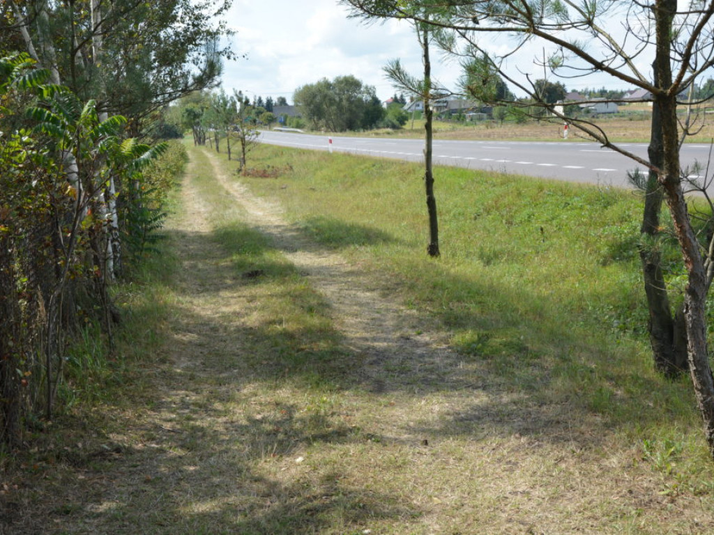 Ul. Wiśniowa, czyli kostka i niespodzianki