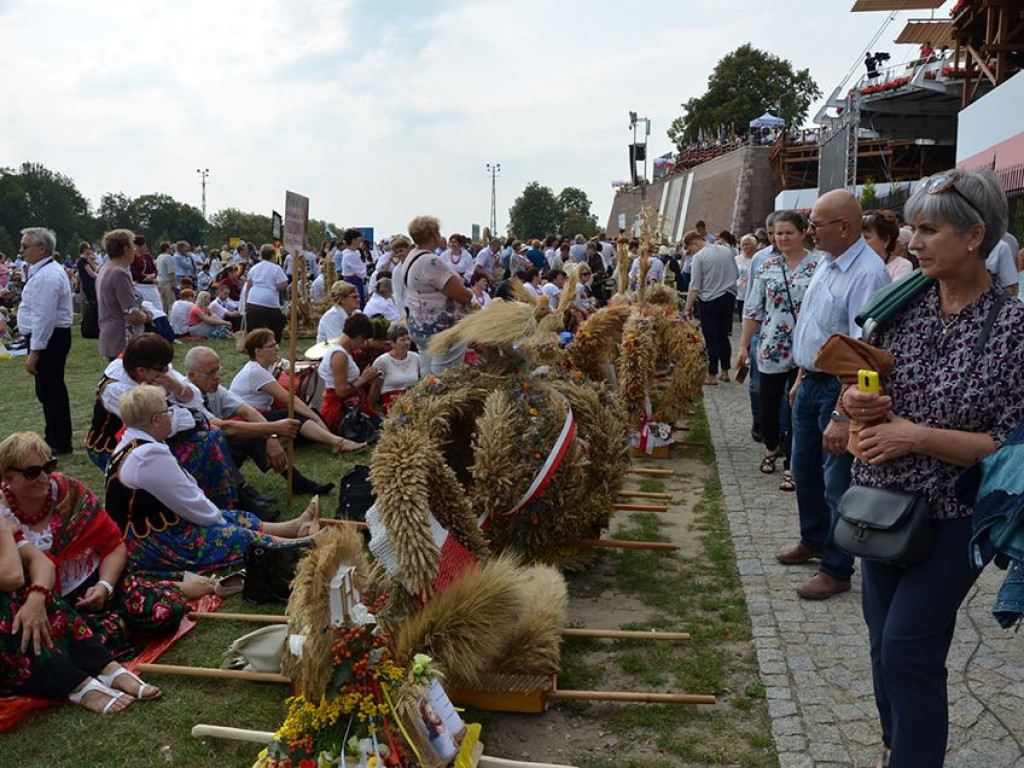 Ogólnopolskie Dożynki Jasnogórskie z Gminą Radzyń