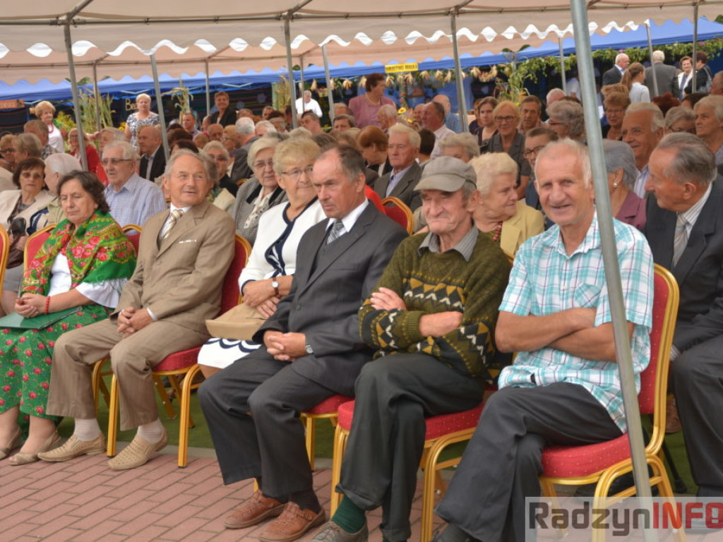 Moc atrakcji, czyli dożynki Gminy Radzyń