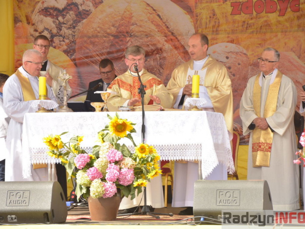 Moc atrakcji, czyli dożynki Gminy Radzyń