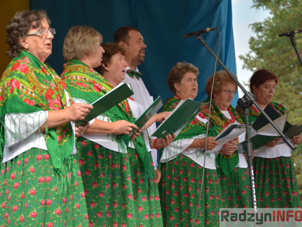 Moc atrakcji, czyli dożynki Gminy Radzyń