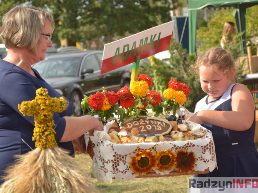 Moc atrakcji, czyli dożynki Gminy Radzyń