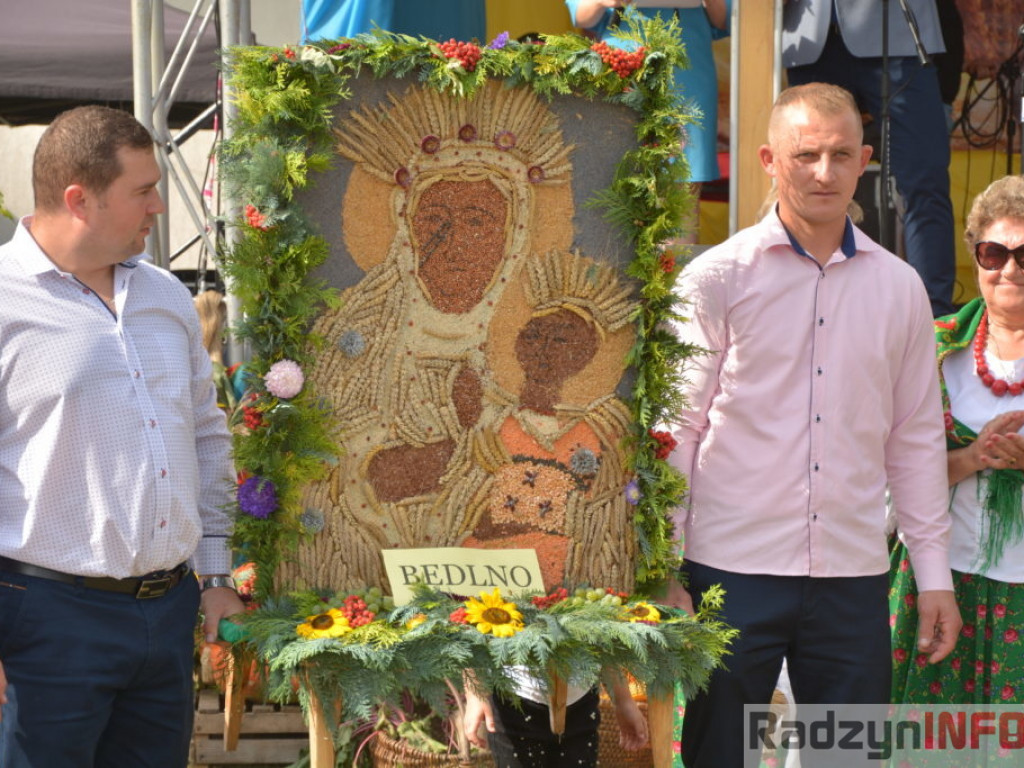 Moc atrakcji, czyli dożynki Gminy Radzyń