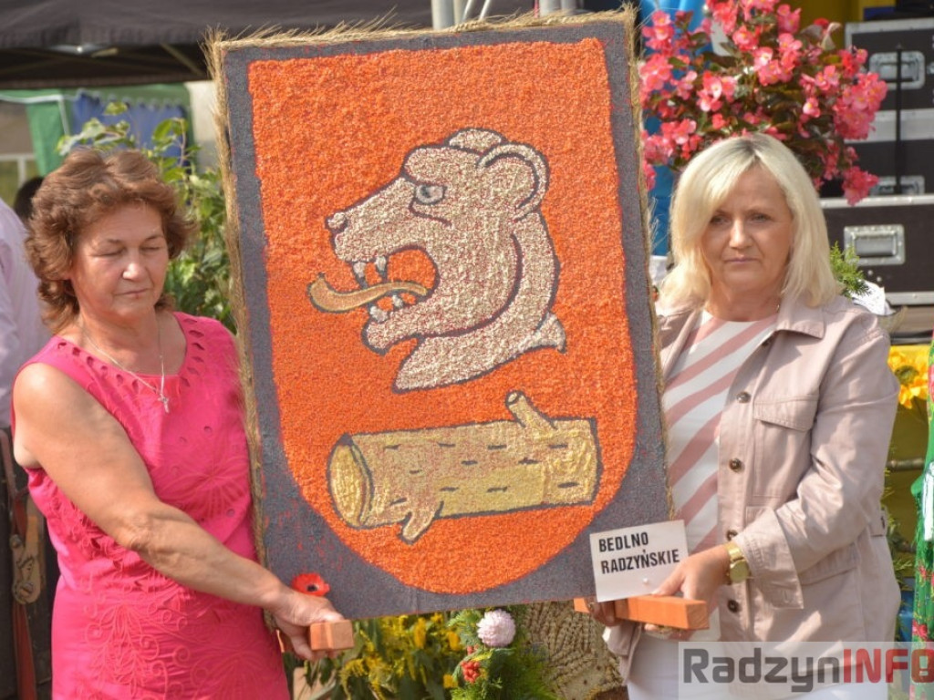 Moc atrakcji, czyli dożynki Gminy Radzyń