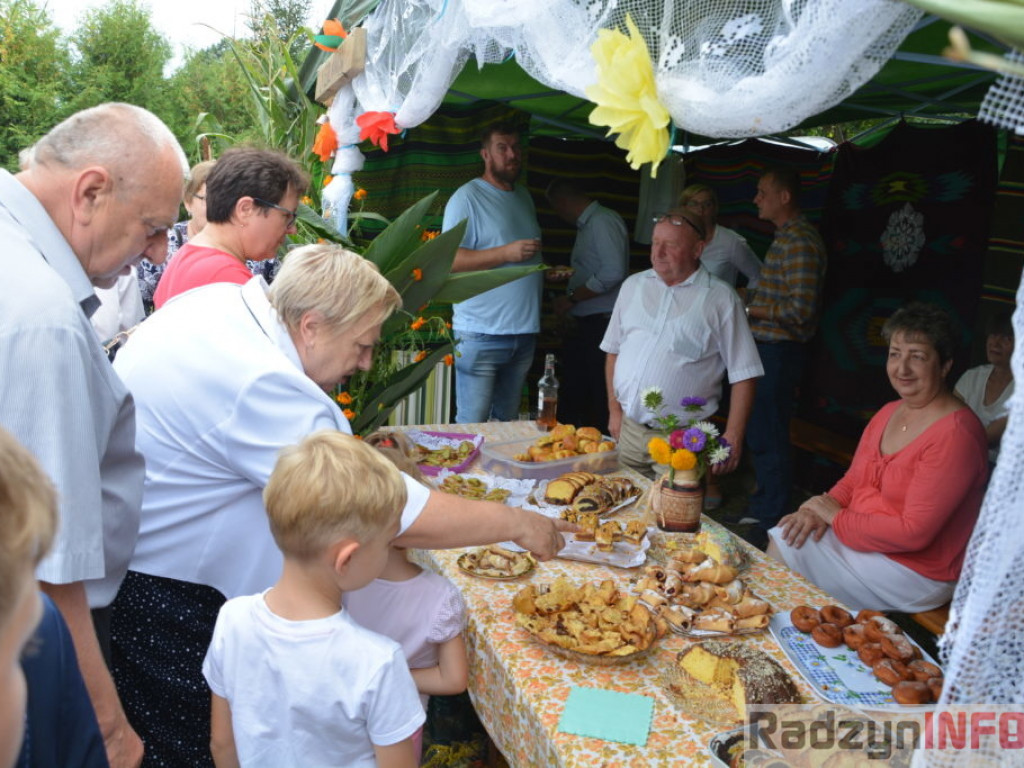 Moc atrakcji, czyli dożynki Gminy Radzyń