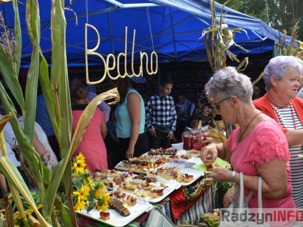 Moc atrakcji, czyli dożynki Gminy Radzyń