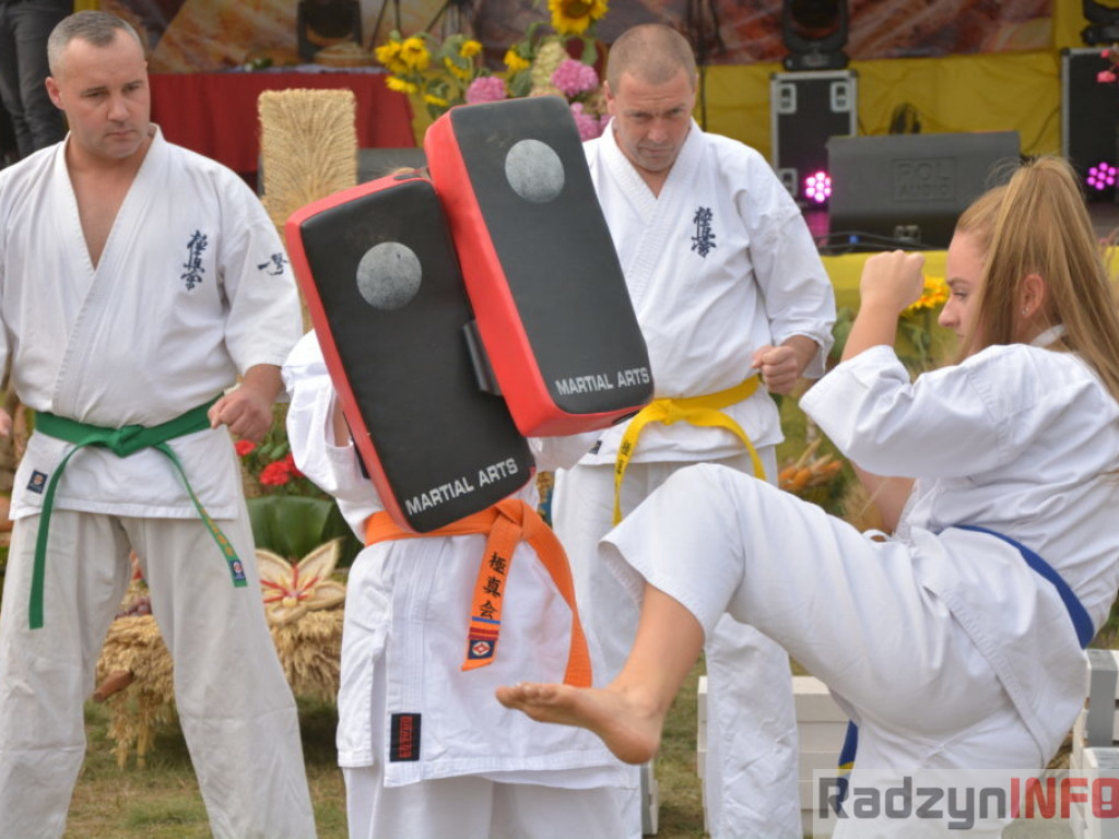 Moc atrakcji, czyli dożynki Gminy Radzyń