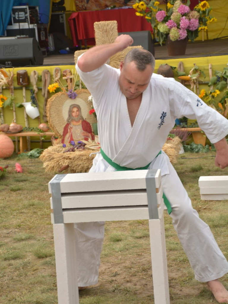 Moc atrakcji, czyli dożynki Gminy Radzyń