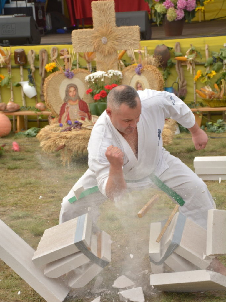 Moc atrakcji, czyli dożynki Gminy Radzyń