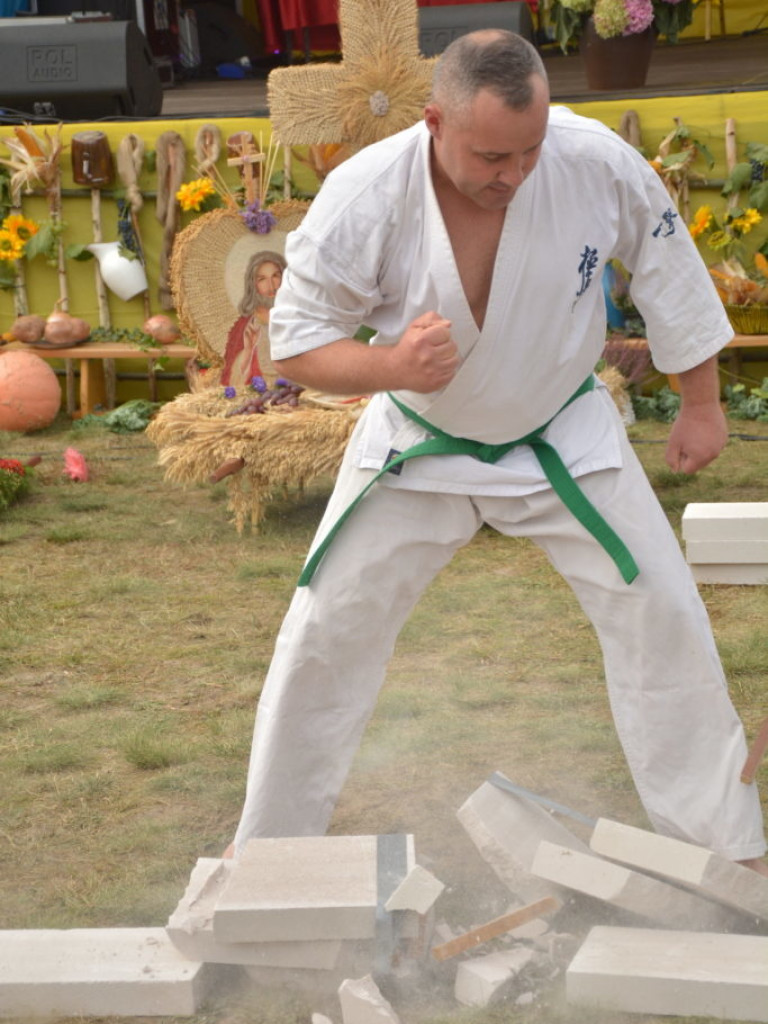 Moc atrakcji, czyli dożynki Gminy Radzyń