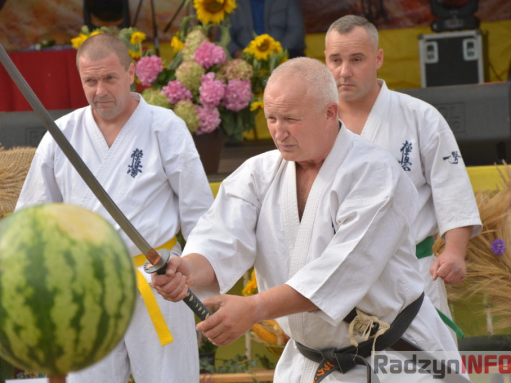 Moc atrakcji, czyli dożynki Gminy Radzyń