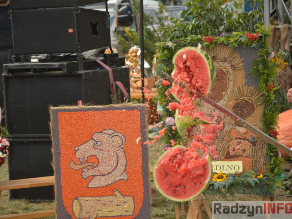 Moc atrakcji, czyli dożynki Gminy Radzyń