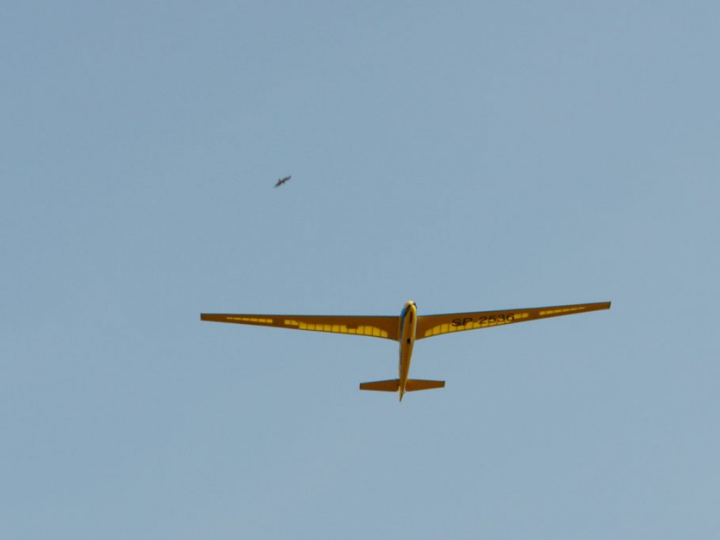 V Piknik Modelarski w Radzyniu Podlaskim - część II