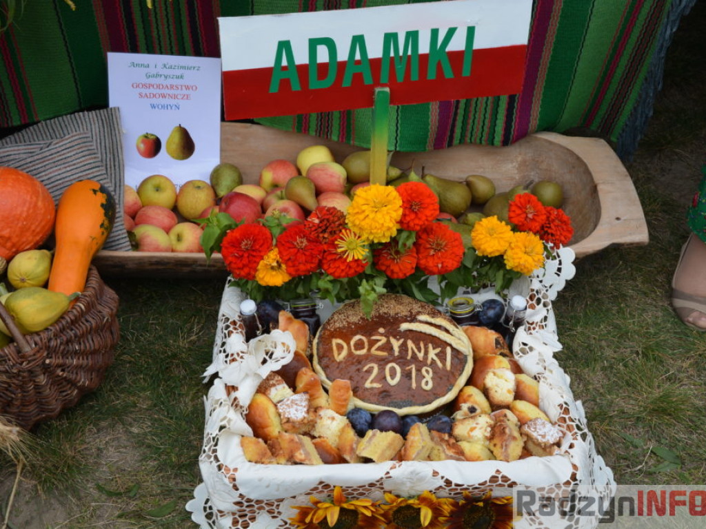 Dożynki w obiektywie