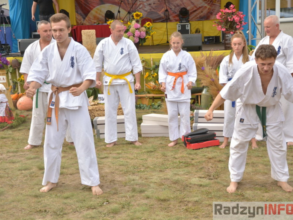 Dożynki w obiektywie