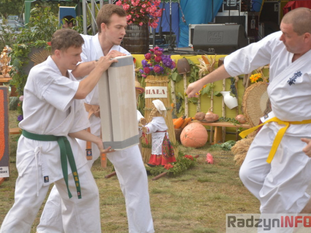 Dożynki w obiektywie