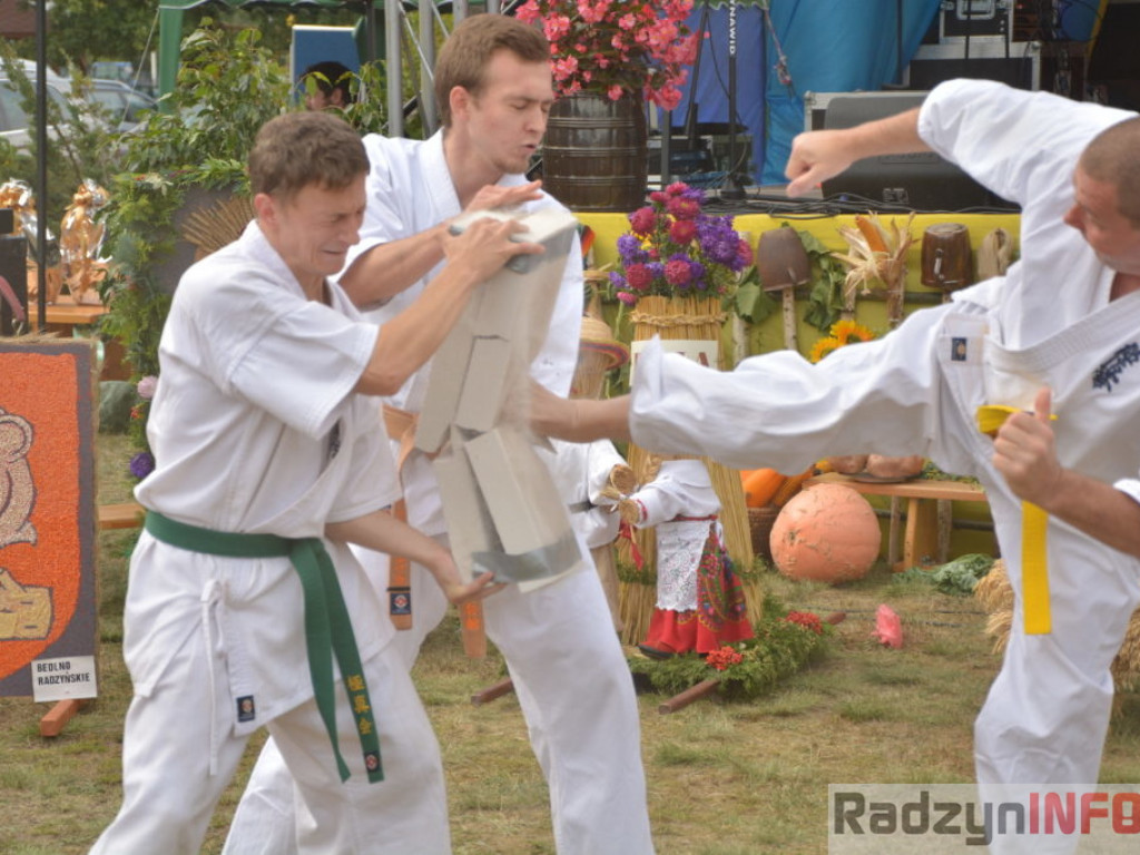 Dożynki w obiektywie