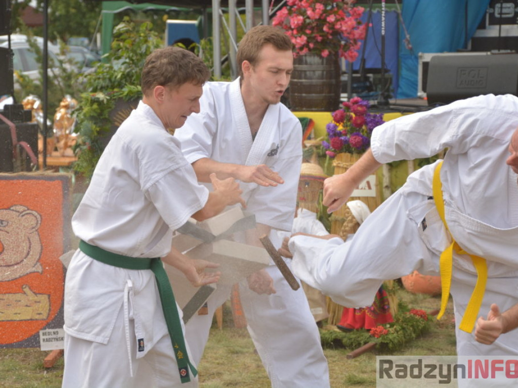 Dożynki w obiektywie