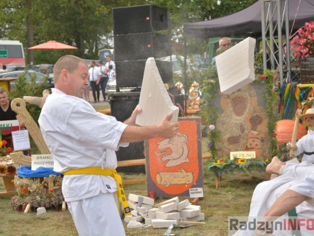 Dożynki w obiektywie