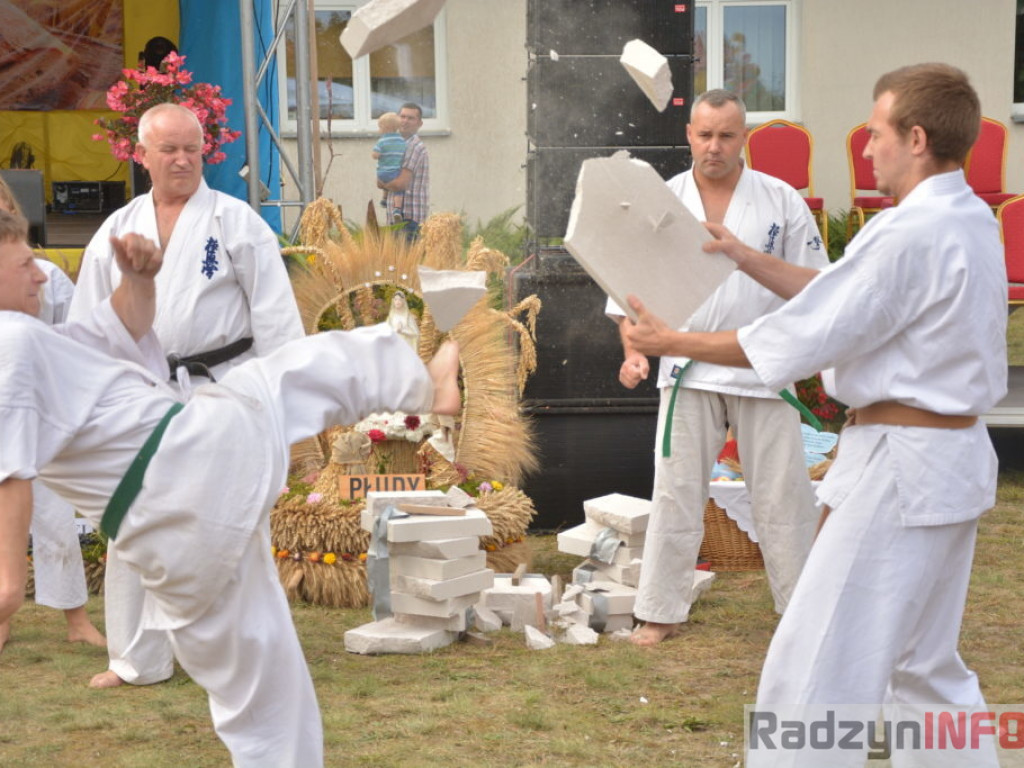 Dożynki w obiektywie