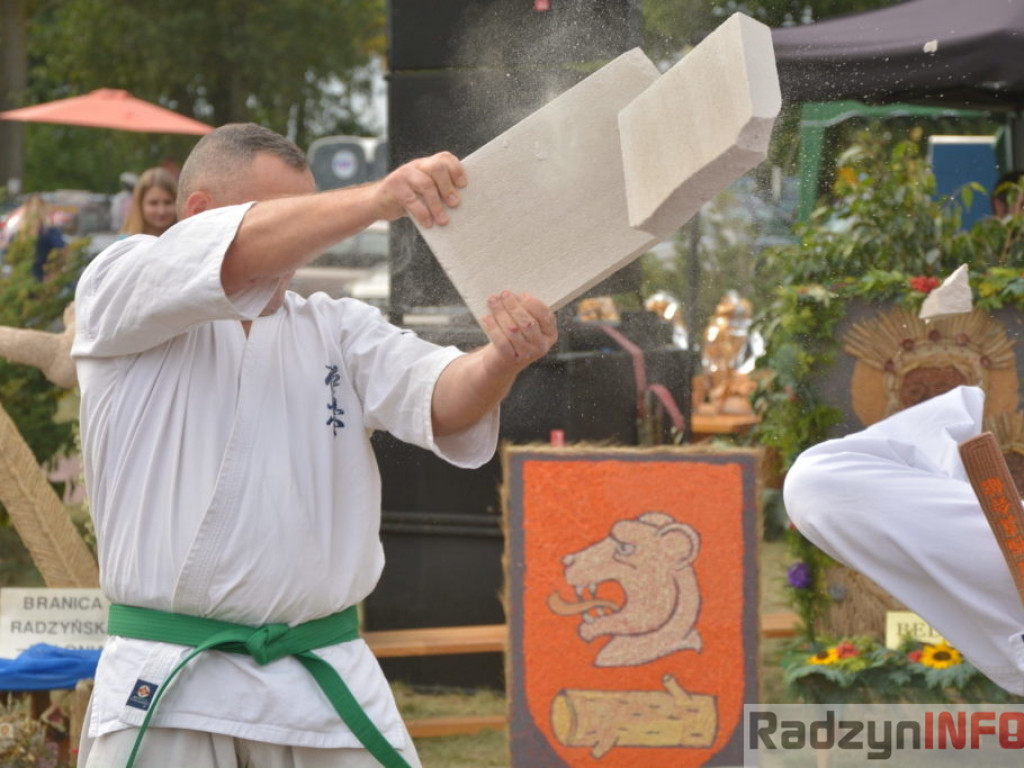 Dożynki w obiektywie