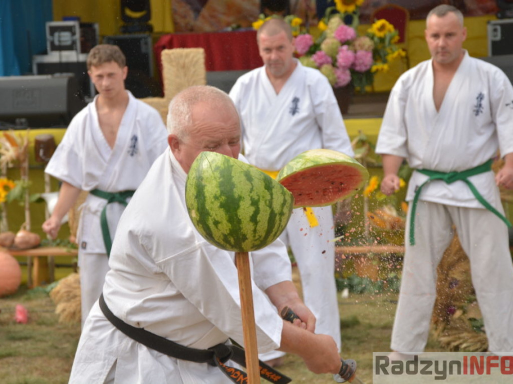 Dożynki w obiektywie