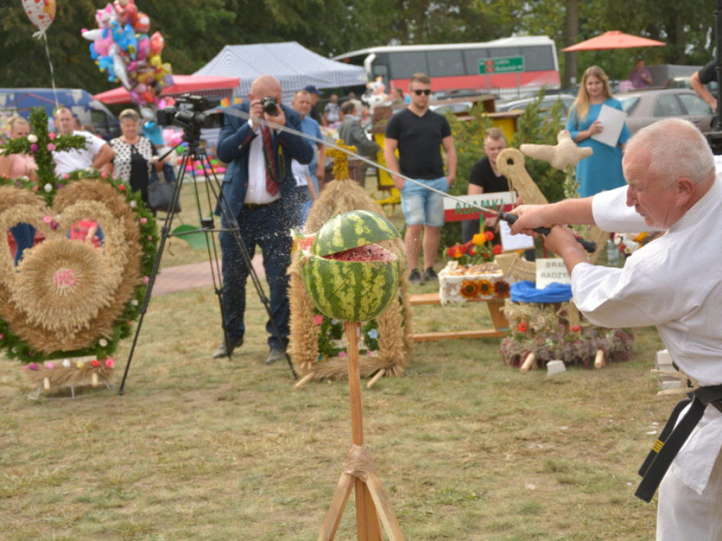 Dożynki w obiektywie