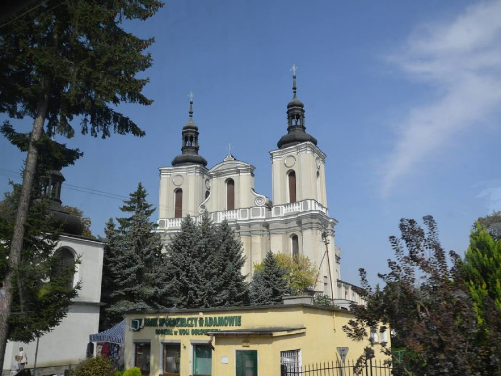 Dożynki diecezjalne w Woli Gułowskiej