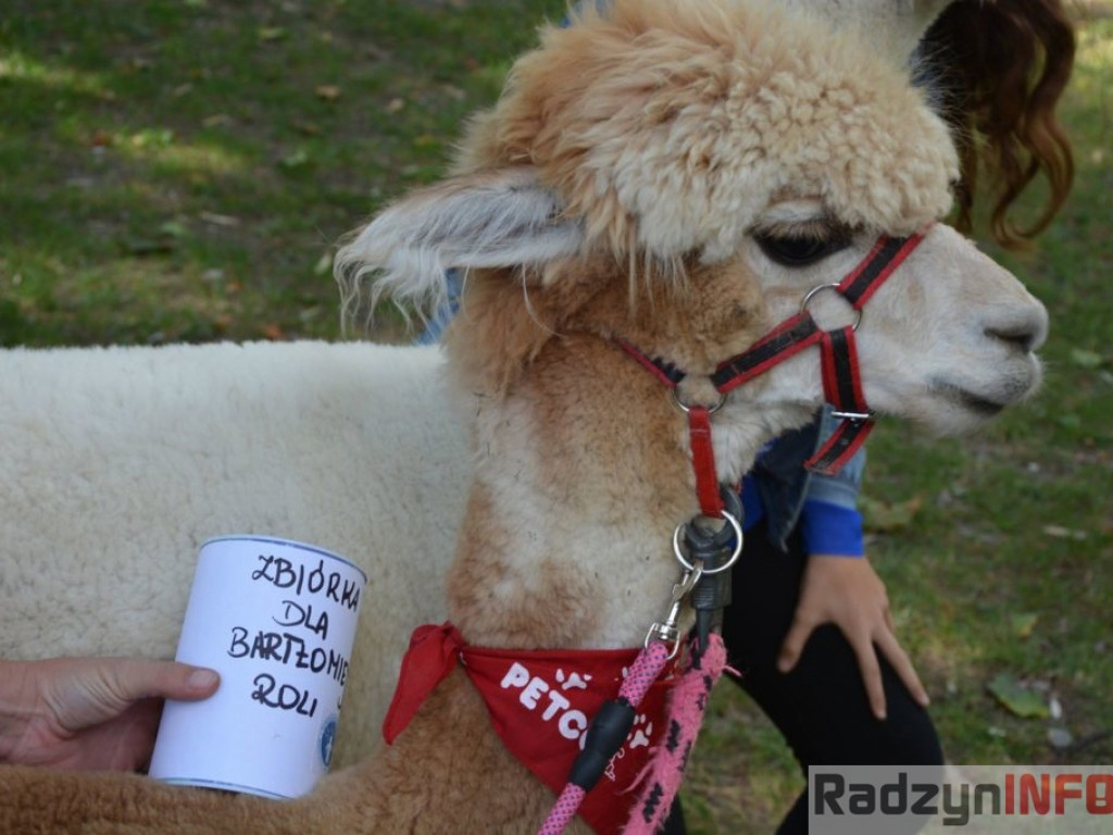 Fotorelacja z koncertu charytatywnego