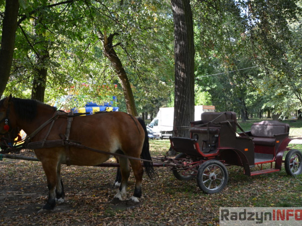 Radzyń zagrał dla Bartka