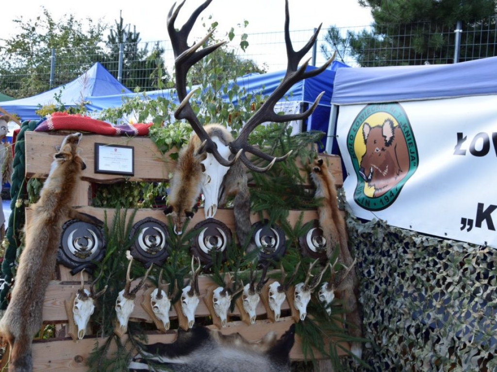 Święto Plonów w Kąkolewnicy