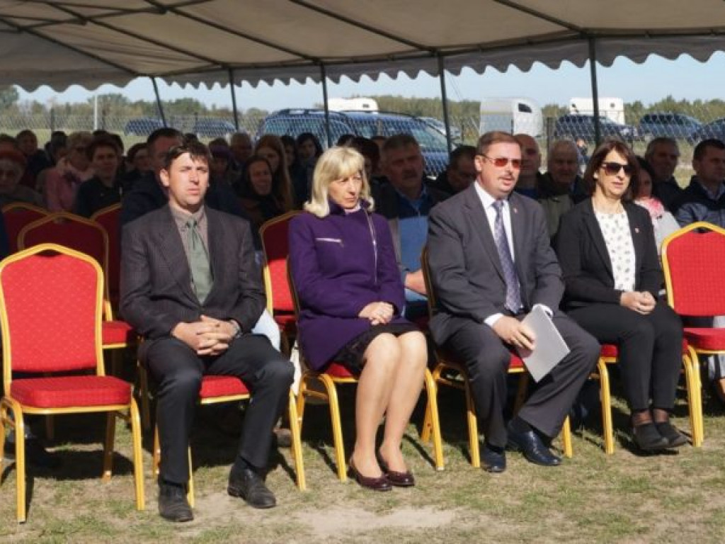 Konie w stępie i kłusie, czyli Wojewódzki Czempionat w Bedlnie