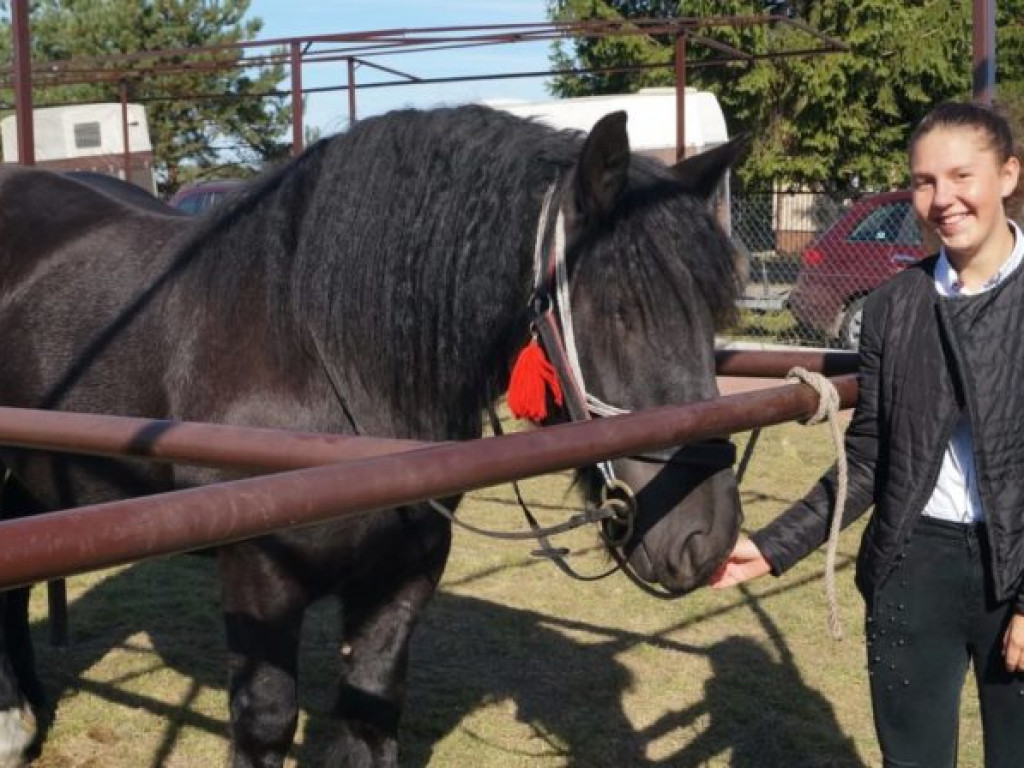 Konie w stępie i kłusie, czyli Wojewódzki Czempionat w Bedlnie
