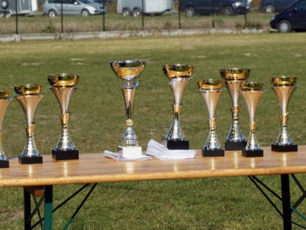 Konie w stępie i kłusie, czyli Wojewódzki Czempionat w Bedlnie