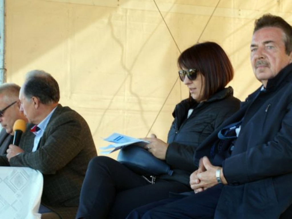 Konie w stępie i kłusie, czyli Wojewódzki Czempionat w Bedlnie