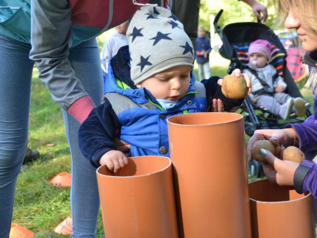 Zabawy z ziemniakiem na świeżym powietrzu